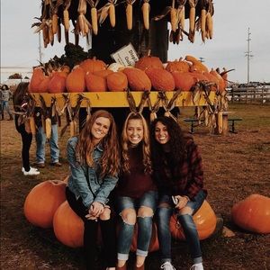 Meet your Posher, Sadie